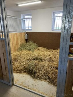 Ustájení koní - Plzeň - jih - 6