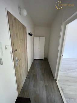 Pronájem bytu 1+1 38 m² Dlouhá, Aš - 6