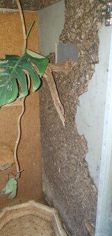 Terarium vertikální (š85 h50 v120) - 6