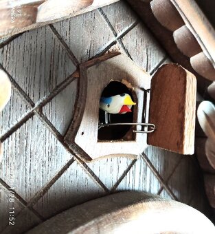 Hezke, kukacky, Schwarzwald - 6