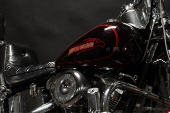 Harley-Davidson Softail Springer - 6