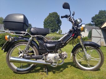 Kentoya Twin Cup 50 4T - 6