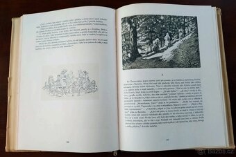 Babička s ilustracemi Adolfa Kašpara - 6