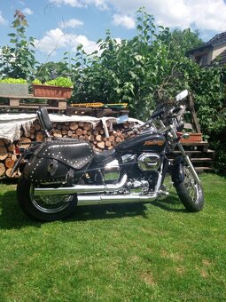 Honda Black Widow 750 DC - 6
