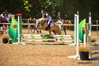 Prodej sportovního pony S - 6