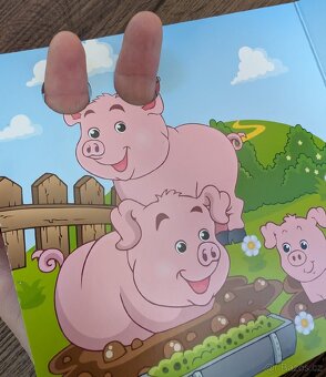 Vykladačka/ knihy - 6