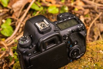Canon EOS 6D Mark II - 6