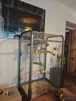 Klec pro papoušky - 6