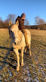 Dobrý menší koník - větší pony valach - 6