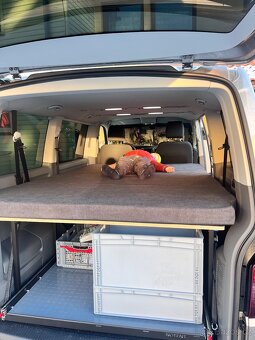 Caravelle T6.1 - 6
