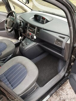 Lancia musa - 6