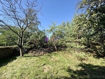 Pronájem zahrady, 1 528 m², Droždín - 6