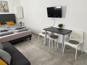 Apartmán až pro 4 osoby - Lipno nad Vltavou - 6