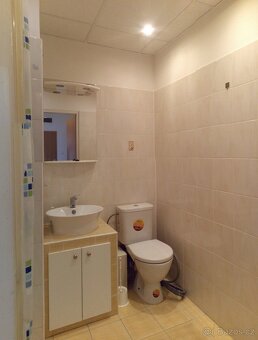 Pronájem bytu 1+1, 39 m2, 7/8 NP, U Kapličky, Orlová Lutyně - 6