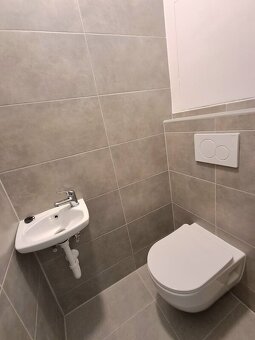 Pronájem zrekonstruovaného bytu 2+1 - 6