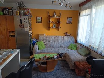 Prodej bytu 1+1 Č. Budějovice - 6