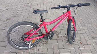 Dětské kolo Amulet Tomcat 20" - 6