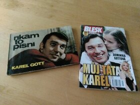 Prodám vinylové staré gramodesky, kazety,fotky,knížky,plakát - 6