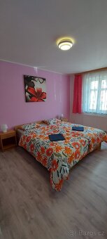 Apartmán Jáchymov Krušné hory - 6