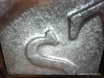 Průmyslová kamera mikroskop - 6