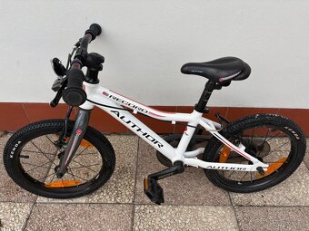 Author Record 16 - 6