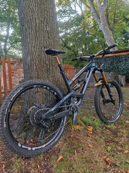Yt capra - 6