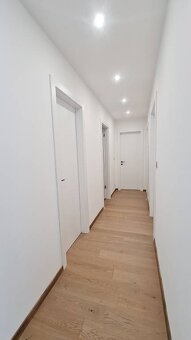 NADSTANDARDNÍ PRONÁJEM 3+KK S TERASOU A LODŽIEMI, PRAHA 4 – - 6