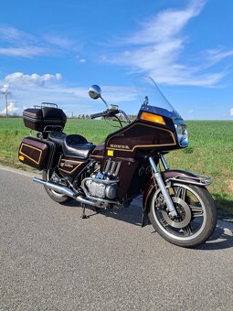 Goldwing - 6