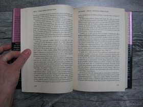 Krach temného pozadí Kubiceho aféry - Pavel Blažek - 6