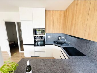 Pronájem bytu 2+kk 70m²,v lokalitě Milana Ticháka Vila Park - 6