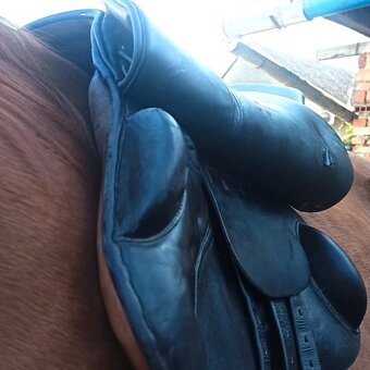 Prodám sedlo Ketaur Hanulay II - 6