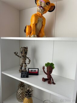 Set nábytku - knihovna a regál - 6