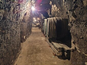 Pronájem, vinný sklep s lisovnou, Nový Šaldorf - 6