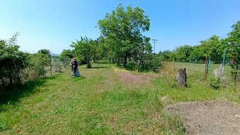 Stavební pozemek se zahradou - 6