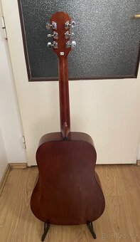 Epiphone PR-200 NS - 6