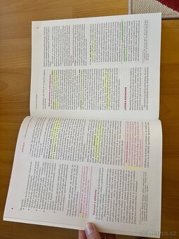 Samuelson Ekonomie 19. vydani - 6