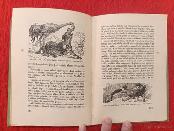 LIŠÁK FERINA T.E.Tisovský - 6