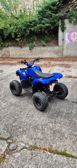 Čtyrkolka 125ccm - 6