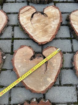 Držák jmenovek bříza - 6