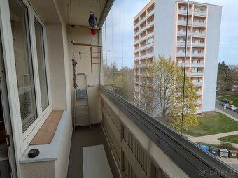 Prodej zajímavého bytu 2+1, Opava - 6