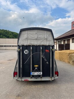 Prodám přepravník na koně Bockman COMFORT - 6