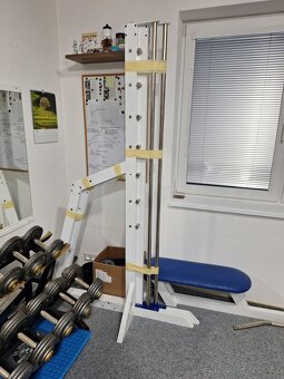 Domáce fitko DAFE, Franka Sport - 6