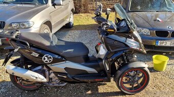 Quadro 350d - 6