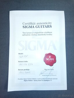 dvanáctistrunná kytara - 6