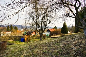 Prodej, zahrada 558m2, chata 14m2, Děčín - VI Letná - 6