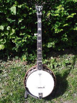 prodám 5. strun banjo - 6