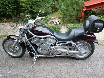 Harley Davidson - V ROD VRSCA - 6