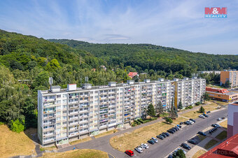 Prodej bytu 4+1, 68 m², DV, Litvínov, ul. Hamerská - 6