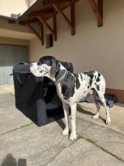 Skládací přenosný box, kenelka COOL PET Plus černá 5xl (122 - 6