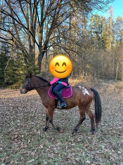 Kobyla na rekreaci, hobby - 6